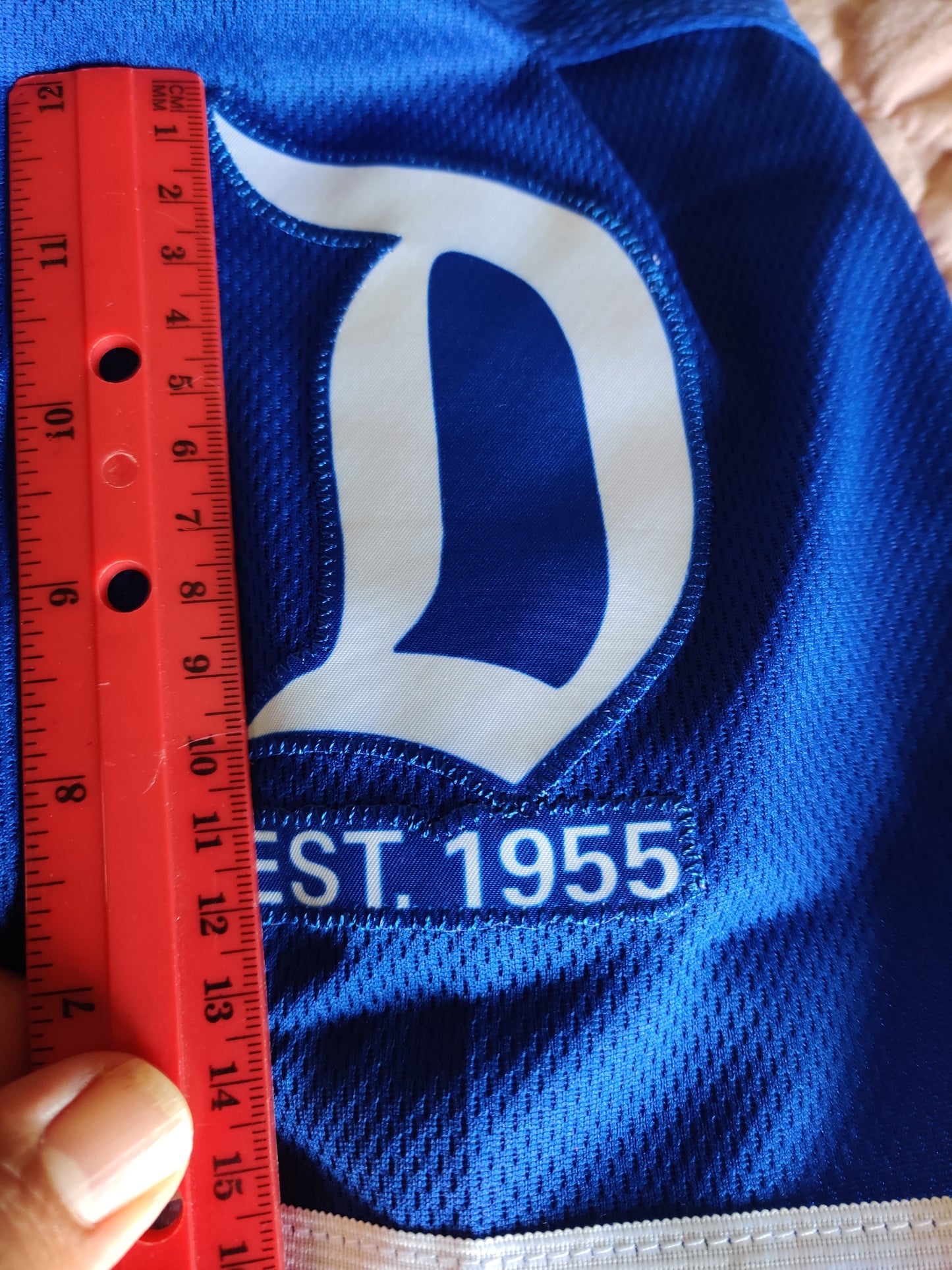 a Disneyland Baseball Jersey (Dodgers Blue)