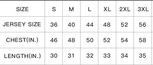 Disneyland Patriotic USA 250 Baseball Jersey (American True Blue)