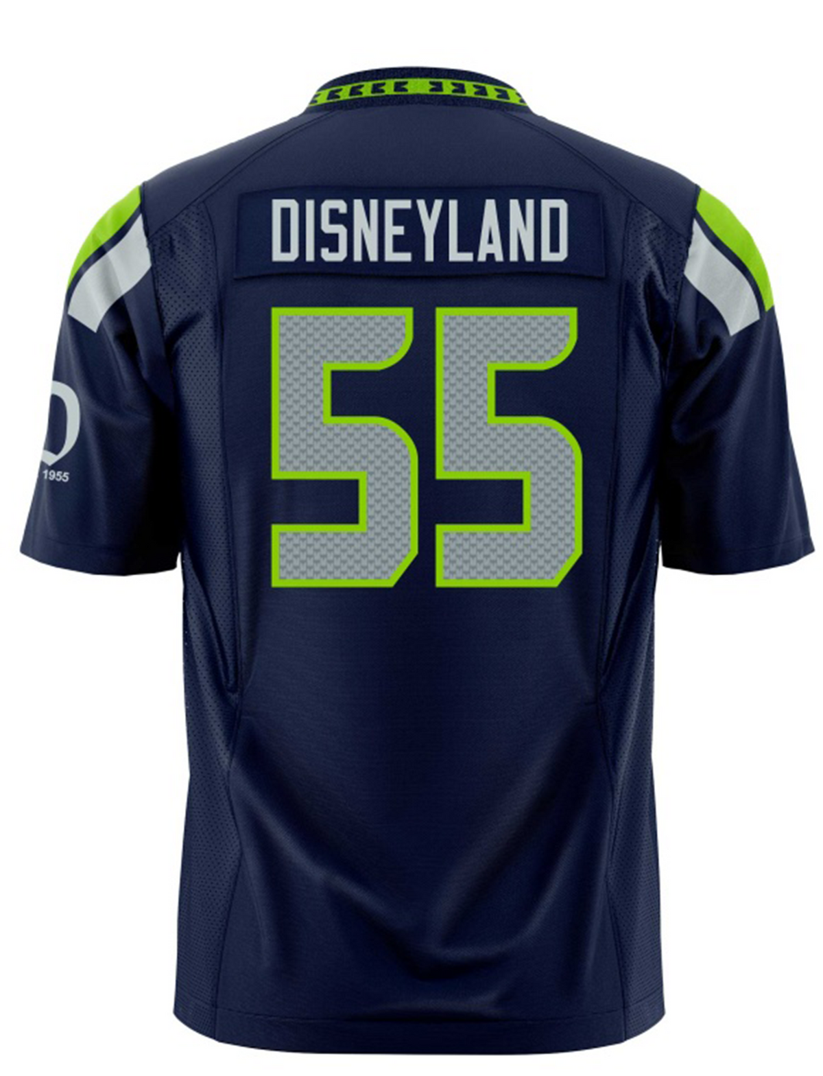 Football Jersey (Seahawks Champion style)