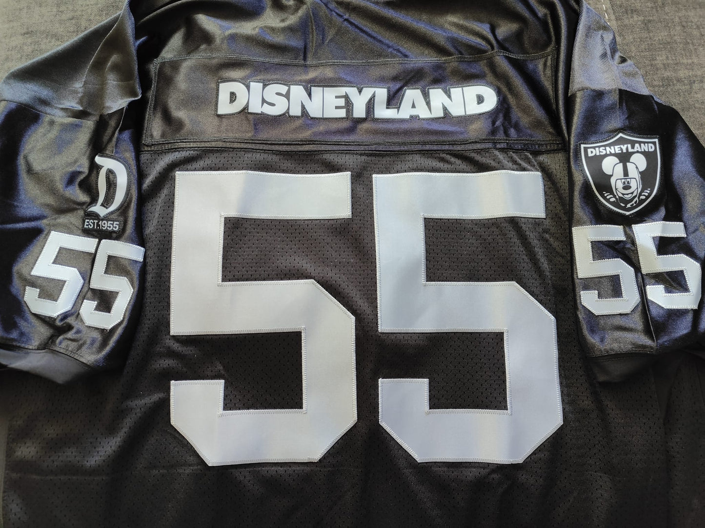 Disneyland Football Jersey (Raiders Loyal Silver & Black)