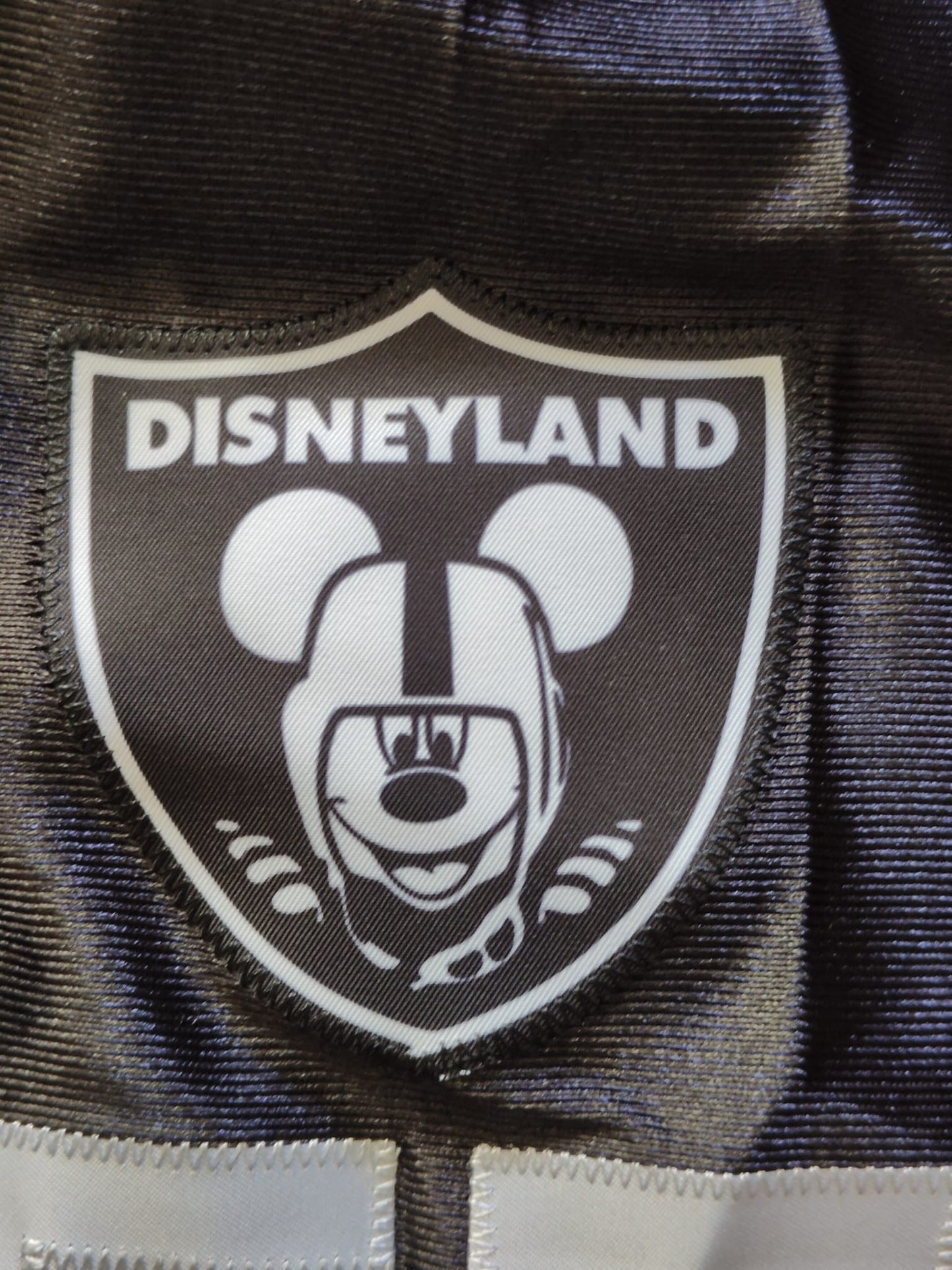 Disneyland Football Jersey (Raiders Loyal Silver & Black)