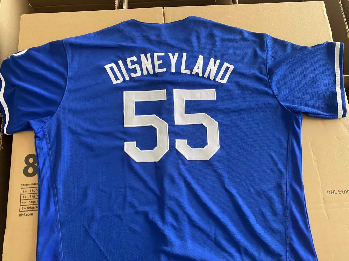 Disneyland Baseball Jersey (Dodgers Blue)